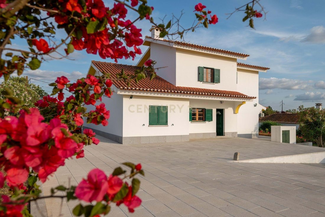 Farm Ranch in Bacelo e Senhora da Saude, Évora District, Portugal 5 - 17555361