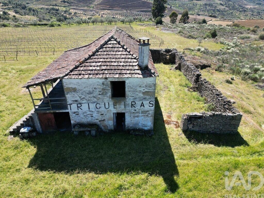 Terrain à Vila Flor e Nabo, Bragance, Portugal 1 - 17556195