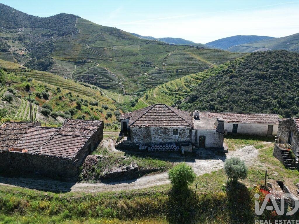 Farm Ranch in Sao Joao da Pesqueira e Varzea de Trevoes, Viseu District, Portugal 5 - 17556191