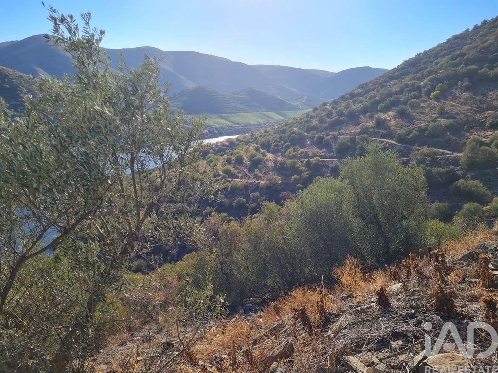Terreno a Urros e Peredo dos Castelhanos, Distretto di Braganza, Portogallo 4 - 17556238