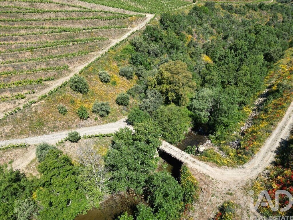 Farm Ranch in Sao Joao da Pesqueira e Varzea de Trevoes, Viseu District, Portugal 4 - 17556191