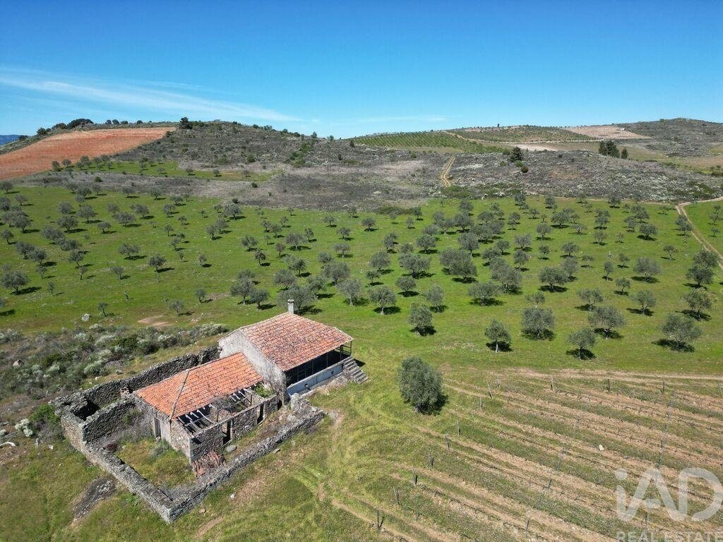 Terrain à Vila Flor e Nabo, Bragance, Portugal 4 - 17556195