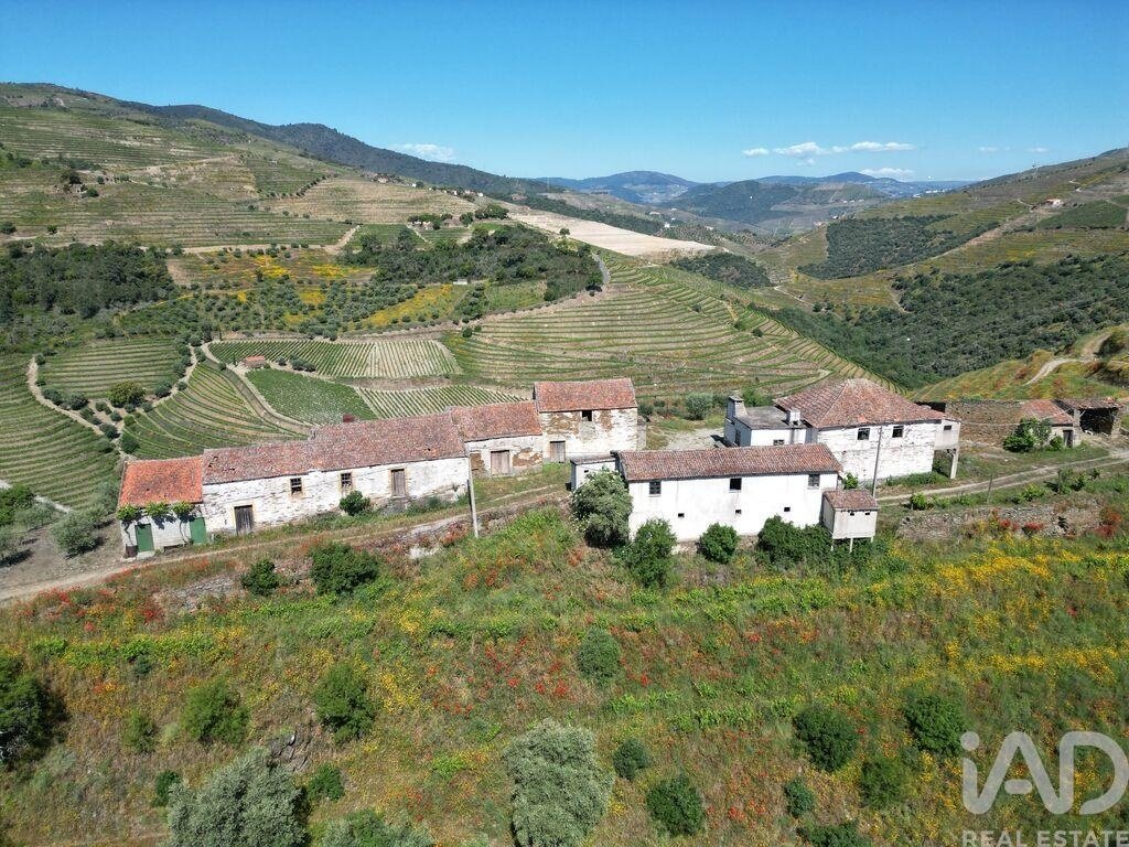 Farm Ranch in Sao Joao da Pesqueira e Varzea de Trevoes, Viseu District, Portugal 2 - 17556136
