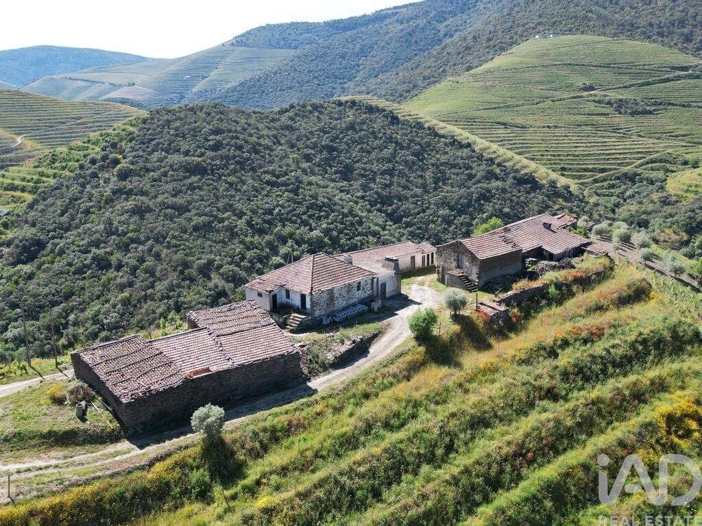 Farm Ranch in Sao Joao da Pesqueira e Varzea de Trevoes, Viseu District, Portugal 4 - 17556136