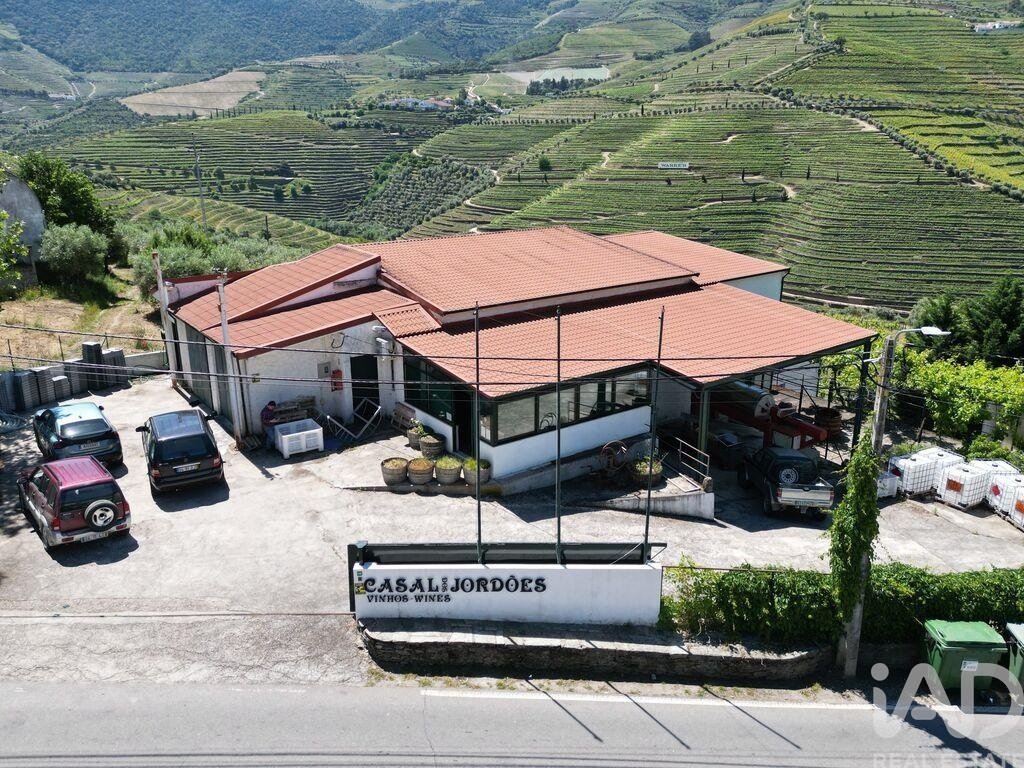 Andere in Sao Joao da Pesqueira e Varzea de Trevoes, Viseu, Portugal 2 - 17556239
