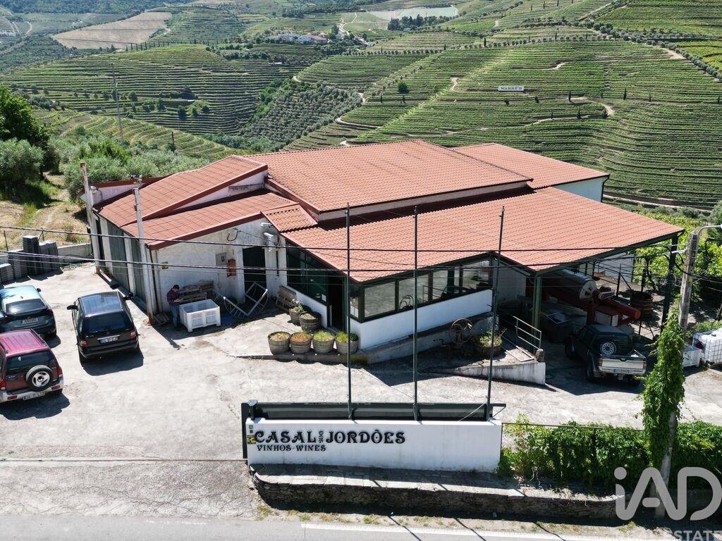 Farm Ranch in Sao Joao da Pesqueira e Varzea de Trevoes, Viseu District, Portugal 1 - 17556136