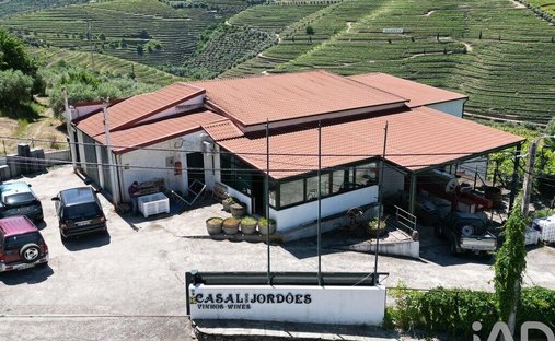Farm Ranch in Sao Joao da Pesqueira e Varzea de Trevoes, Viseu District, Portugal 1