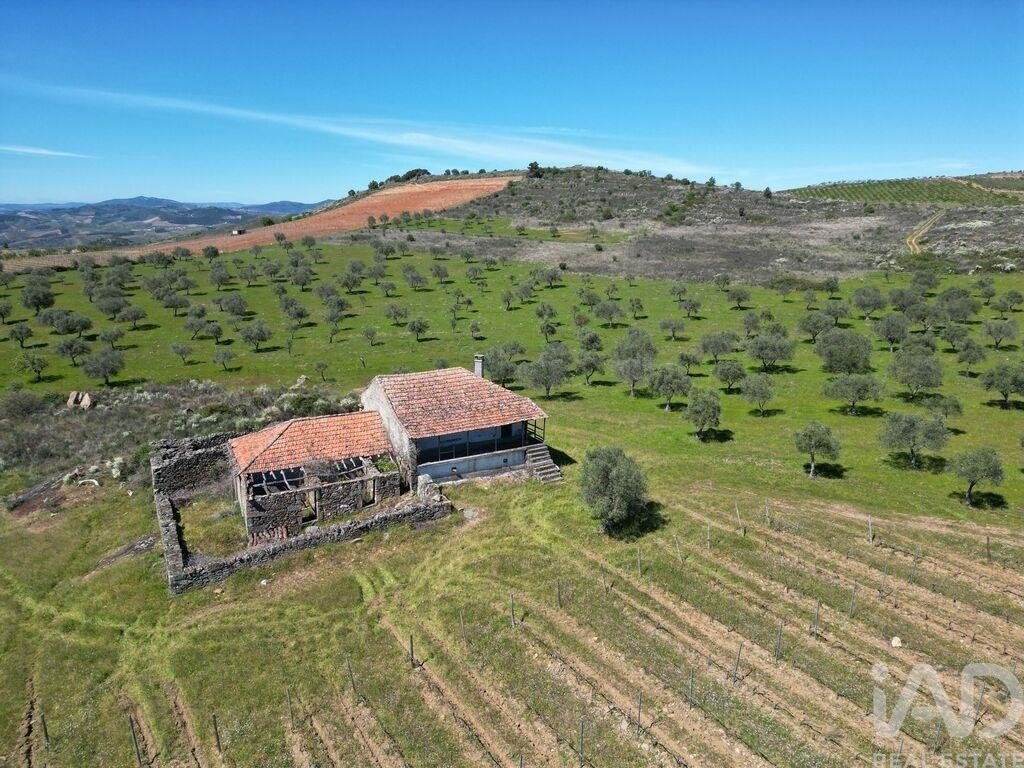 Terrain à Vila Flor e Nabo, Bragance, Portugal 5 - 17556195