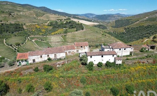 Farm Ranch in Sao Joao da Pesqueira e Varzea de Trevoes, Viseu District, Portugal 1