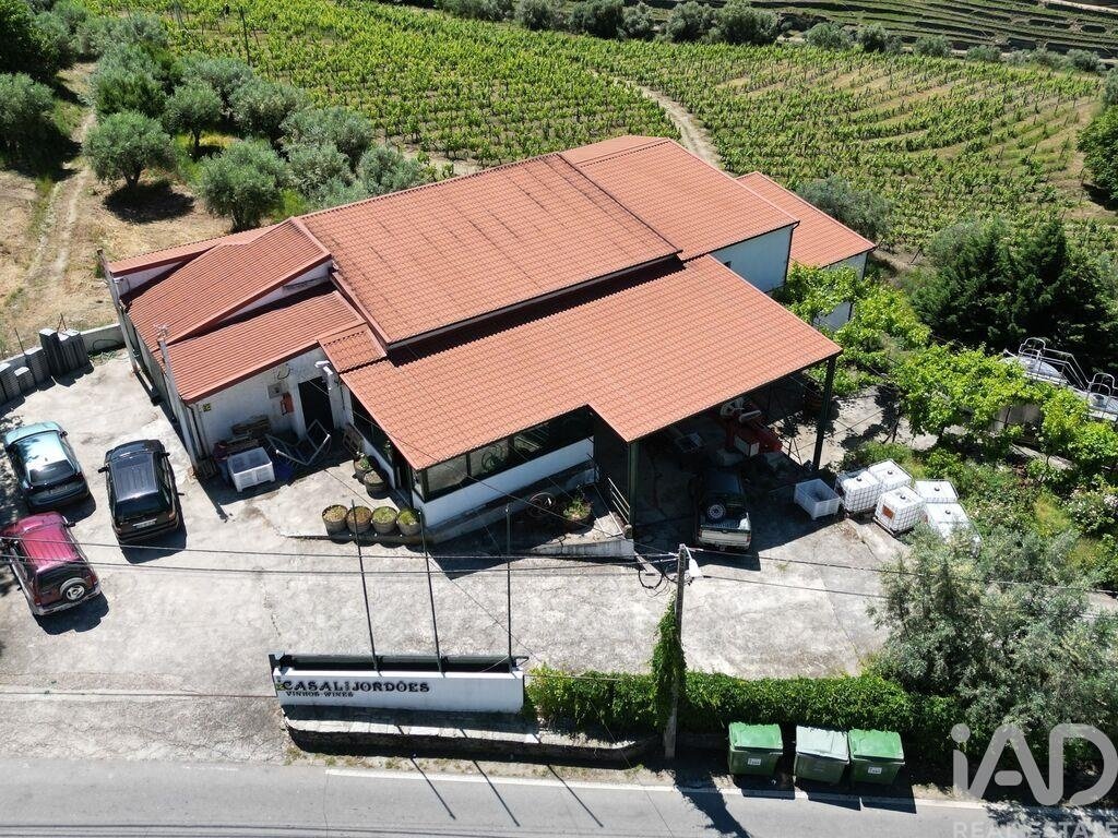 Andere in Sao Joao da Pesqueira e Varzea de Trevoes, Viseu, Portugal 1 - 17556239
