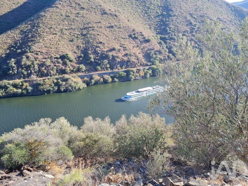 Terreno a Urros e Peredo dos Castelhanos, Distretto di Braganza, Portogallo 2 - 17556238