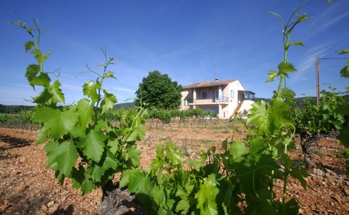 Villa in Cotignac, Provence-Alpes-Côte d'Azur, Frankreich 1