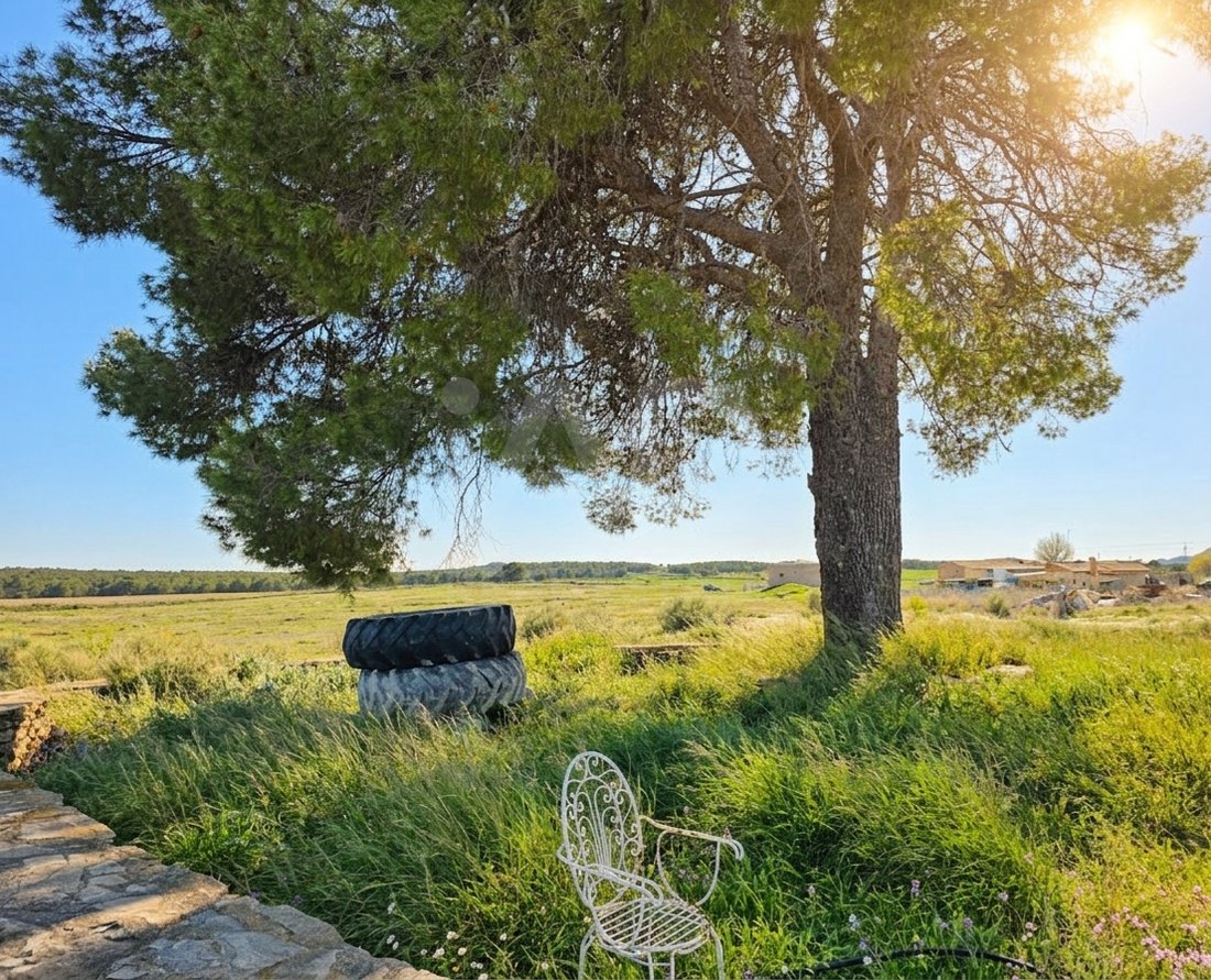 Land in Moratalla, Murcia, Región de Murcia, Spain 2 - 17556390