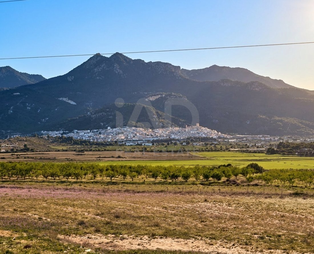 Land in Moratalla, Murcia, Región de Murcia, Spain 1 - 17556390