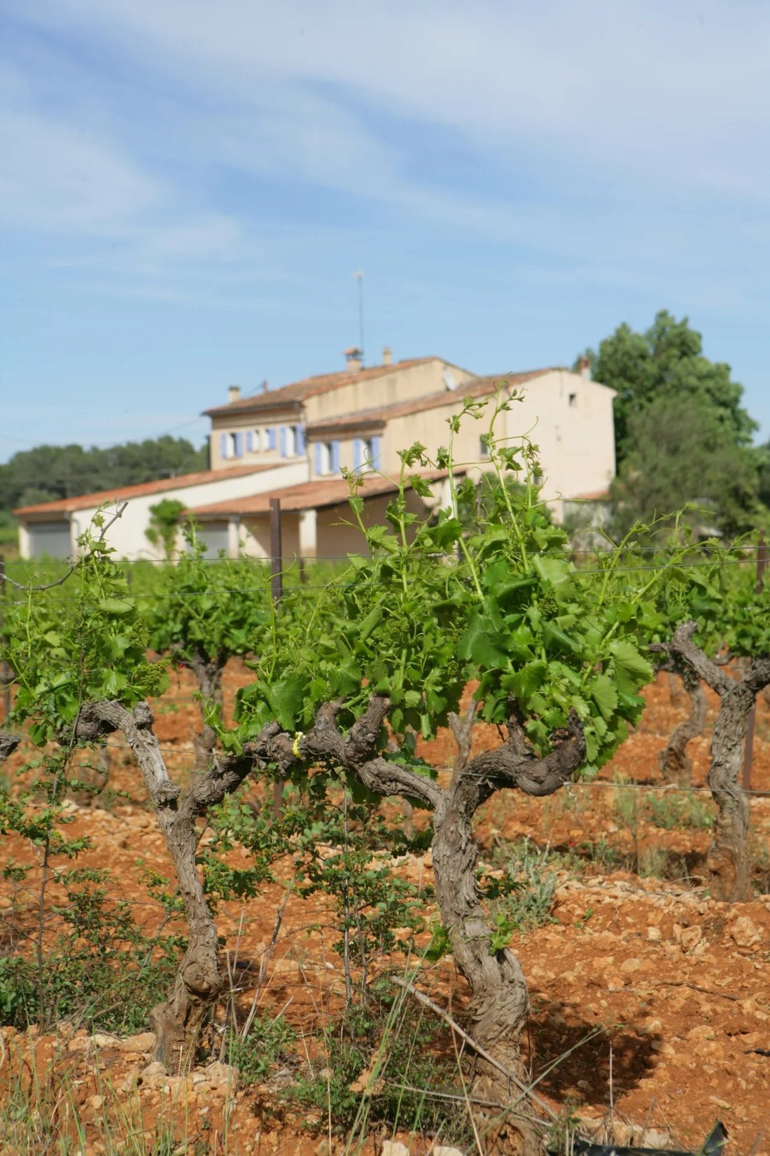 Villa in Cotignac, Provence-Alpes-Côte d'Azur, France 3 - 17555634