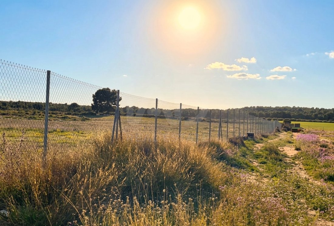 Land in Moratalla, Murcia, Región de Murcia, Spain 4 - 17556390