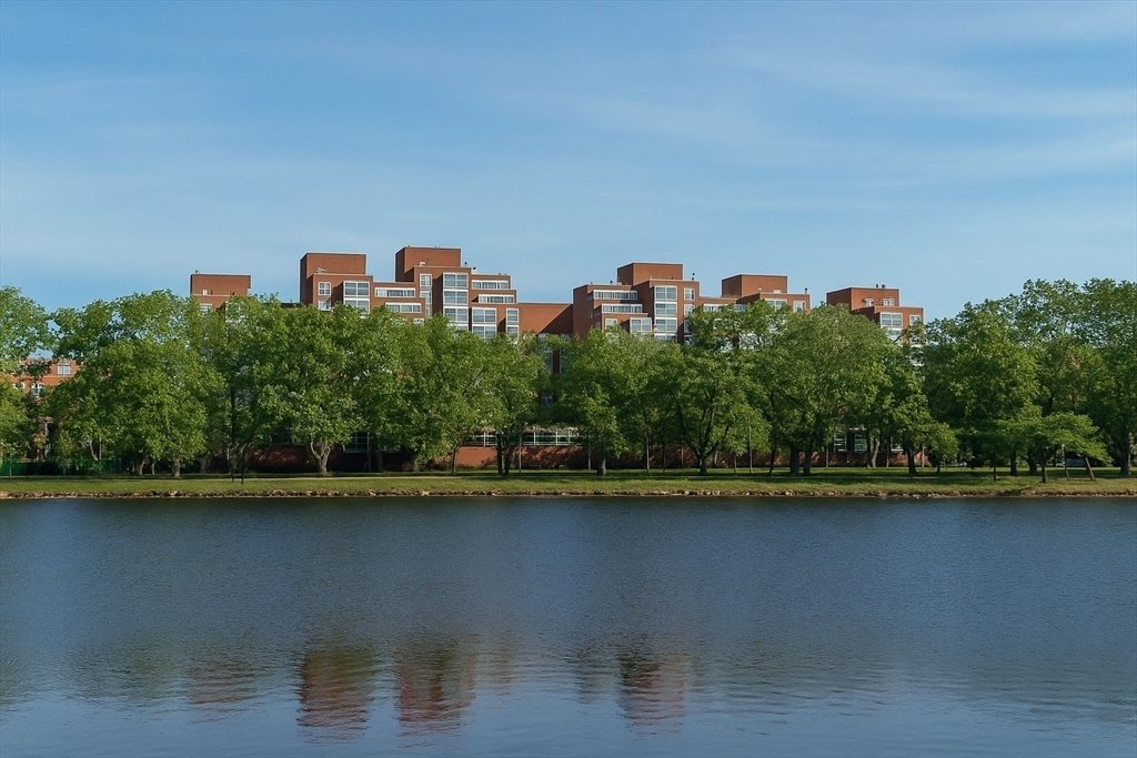Condo in Cambridge, Massachusetts, United States 1 - 17556474
