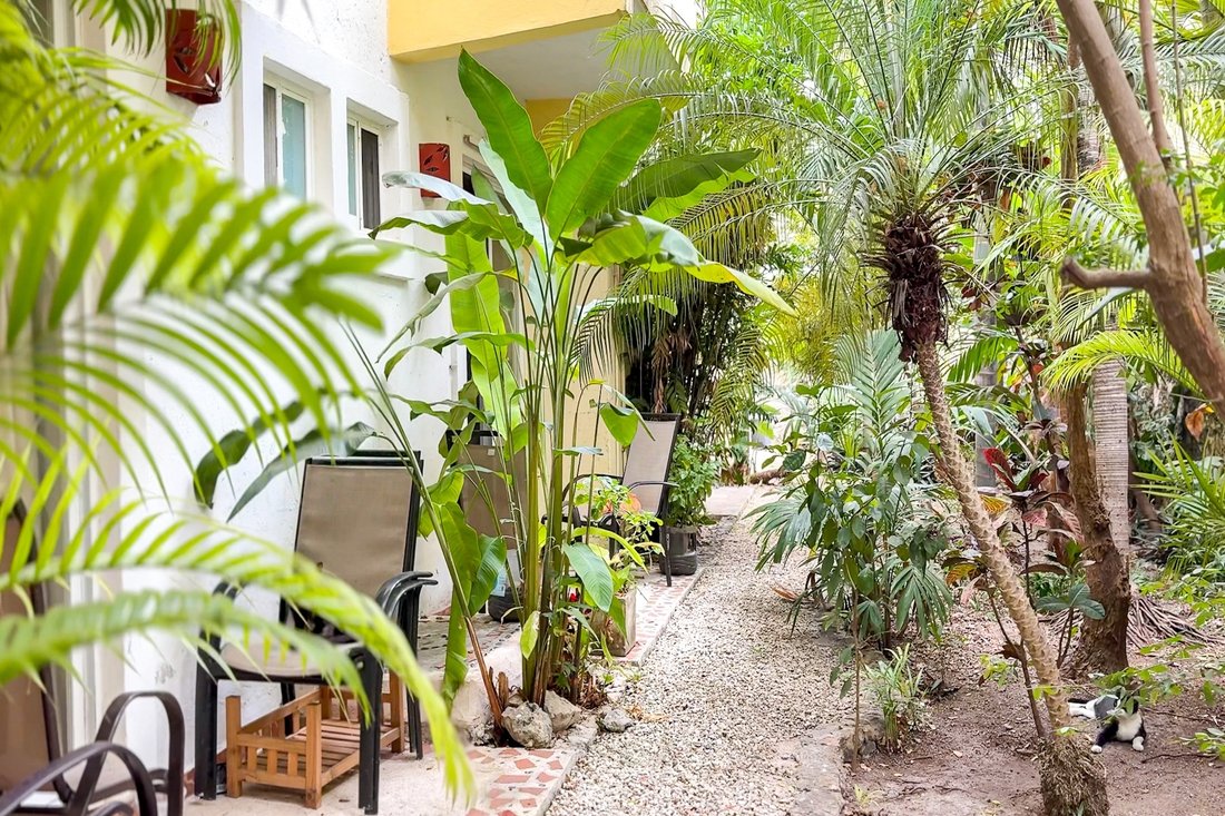 Appartement à Alma Tulum Hotel, Quintana Roo, Mexique 2 - 17556462