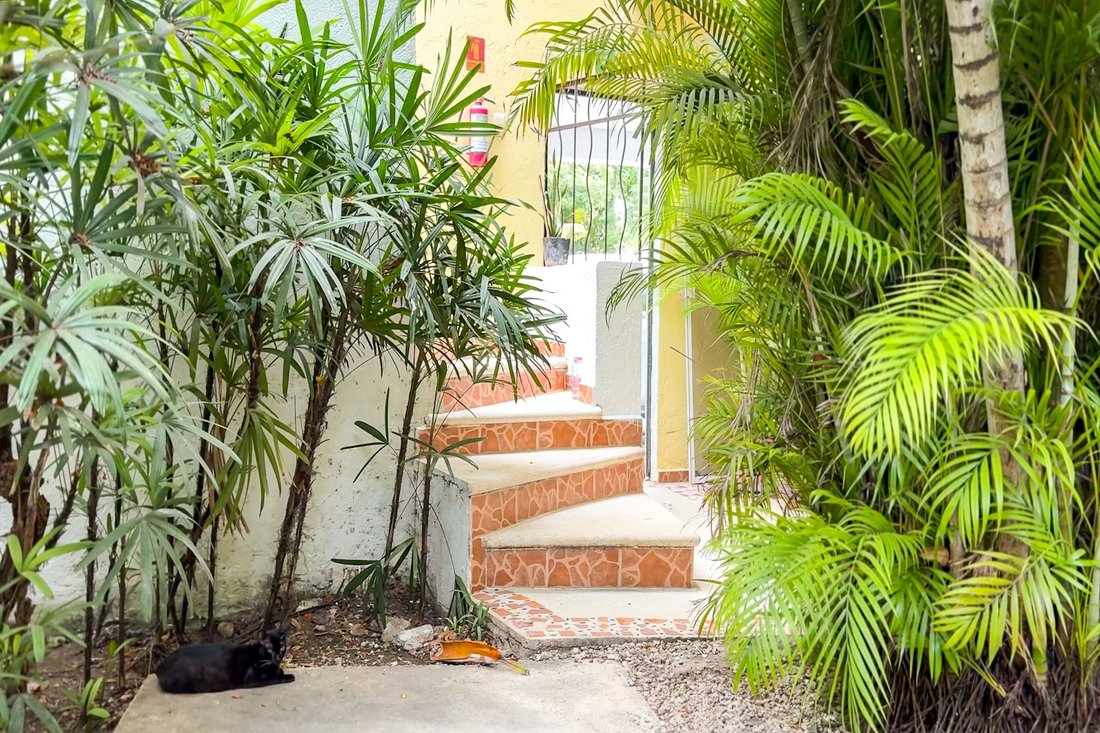 Appartement à Alma Tulum Hotel, Quintana Roo, Mexique 3 - 17556462