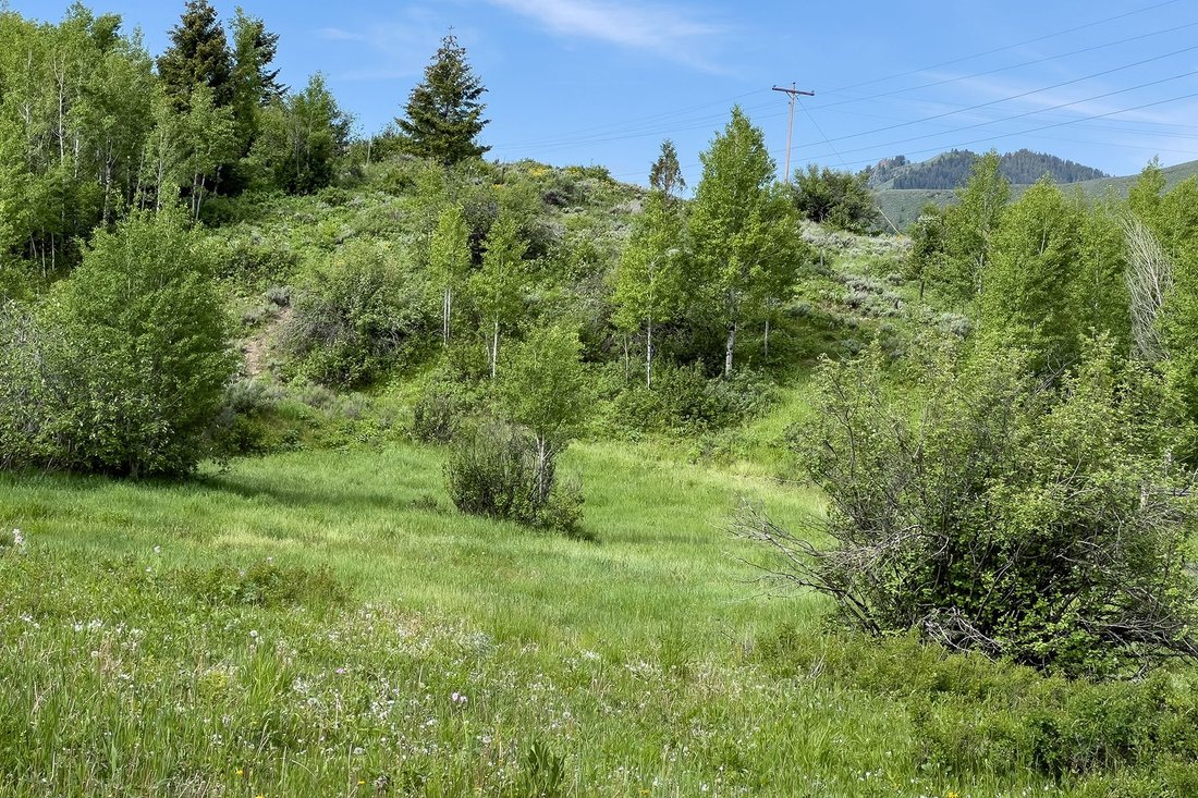 Land in Jackson, Wyoming, United States 4 - 17556458
