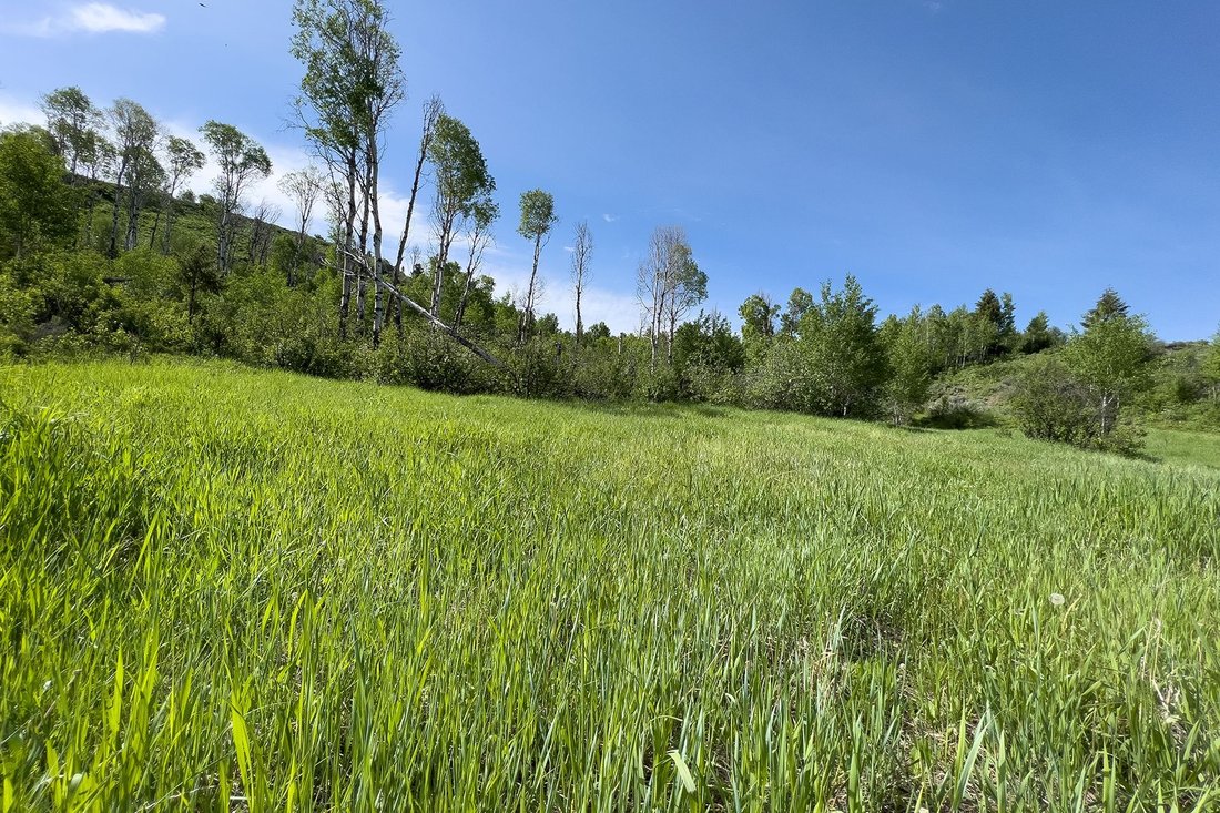 Land in Jackson, Wyoming, United States 5 - 17556458