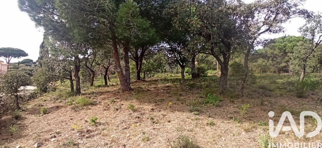 Land in Nartelle-Noyer-Bellevue-bd des Sardinaux, Sainte-Maxime, France 5 - 17559347