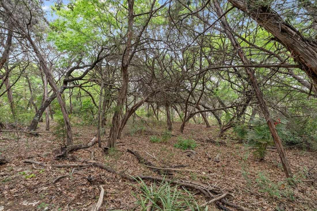 Land in Austin, Texas, United States 5 - 17559238