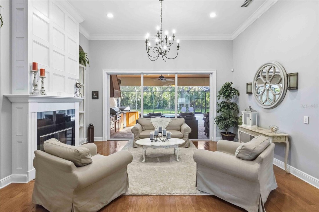 House in Lithia, Florida, United States 4 - 17560099