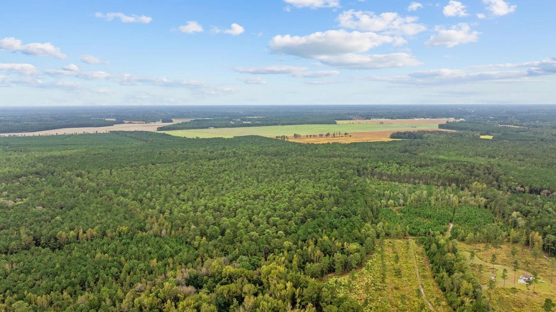 Land in Loris, South Carolina, United States 5 - 17560586