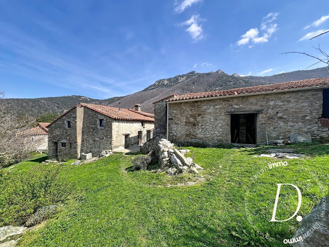 House in Amélie-les-Bains-Palalda, Occitania, France 4 - 17561833