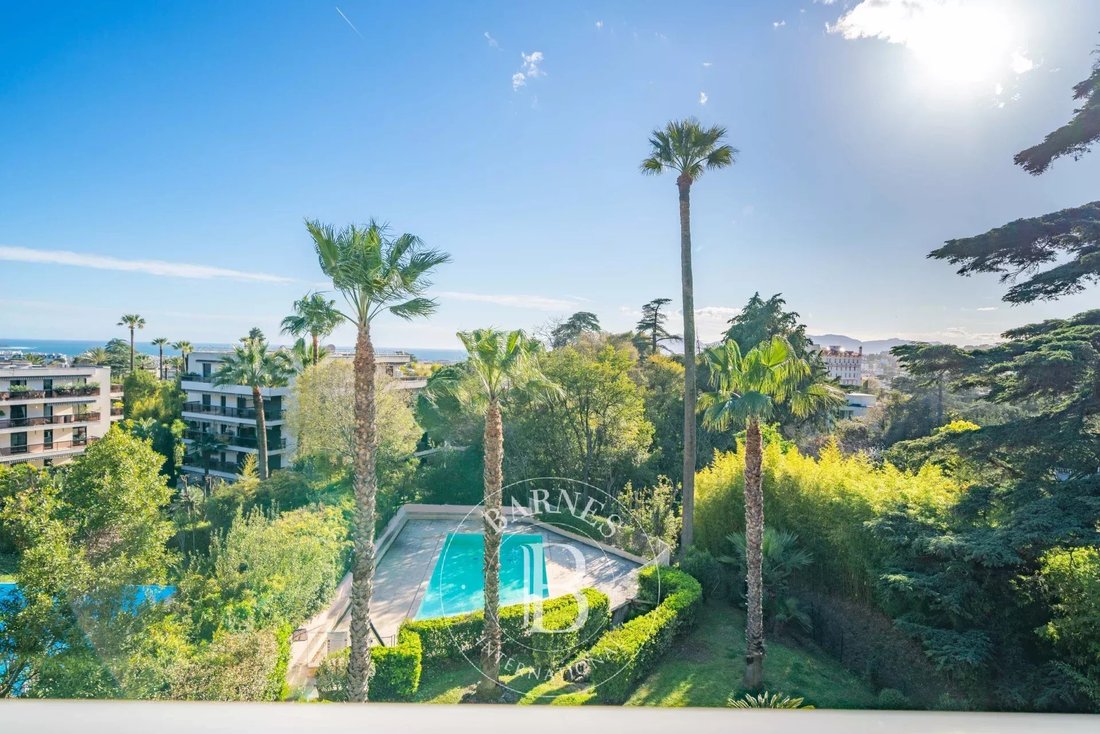 Apartment in Cannes, Provence-Alpes-Côte d'Azur, France 1 - 17556900