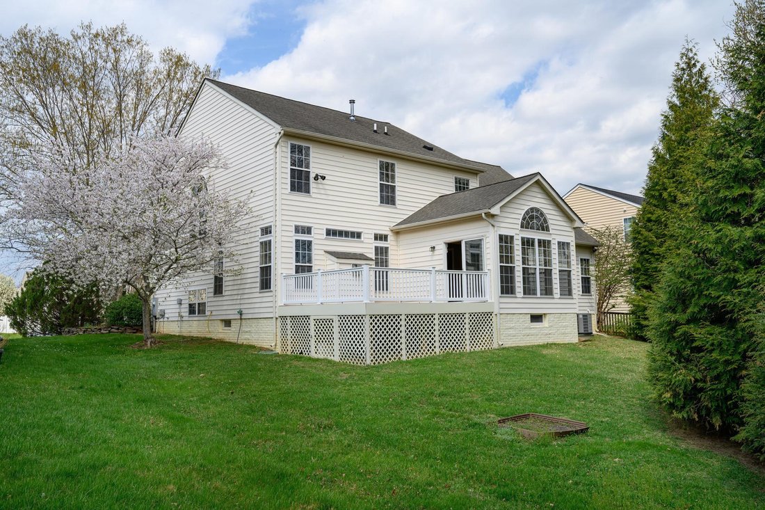 Chestertown, Maryland, United States 5 - 17563598