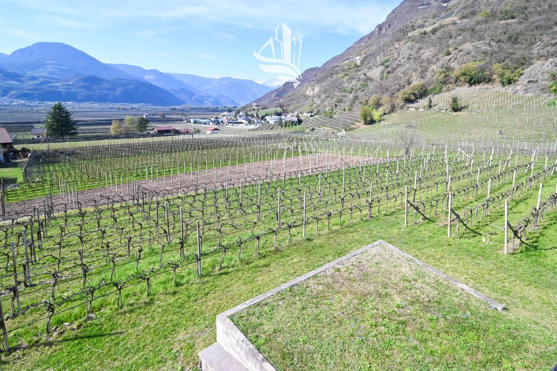 House in Terlan, Trentino – Alto Adige/Südtirol, Italy 4 - 17558438
