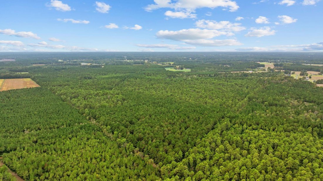 Land in Loris, South Carolina, United States 3 - 17560586
