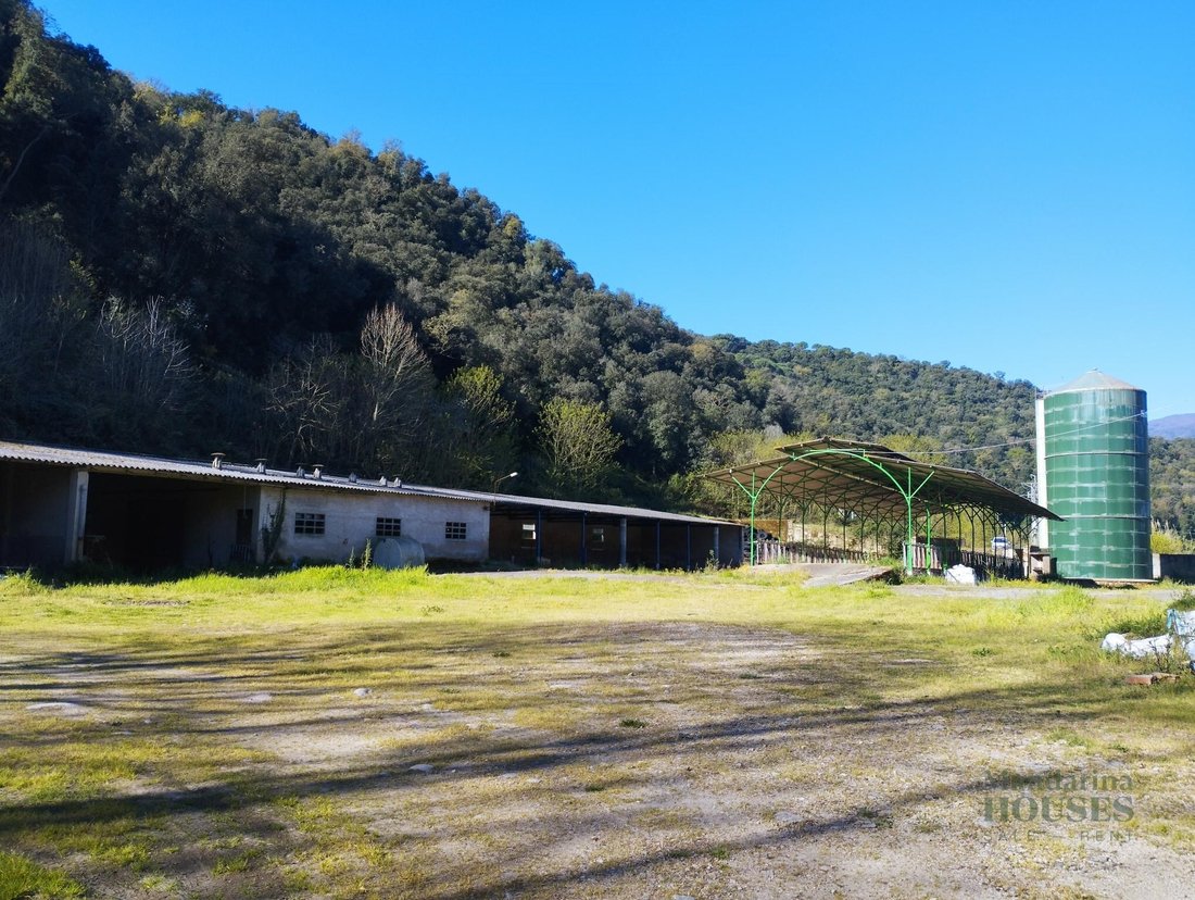 Finca in Hostalric, Catalonia, Spain 4 - 17562988