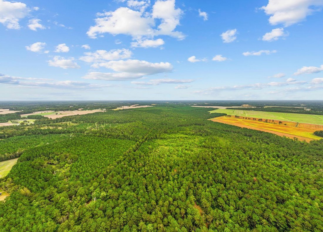Land in Loris, South Carolina, United States 1 - 17560586