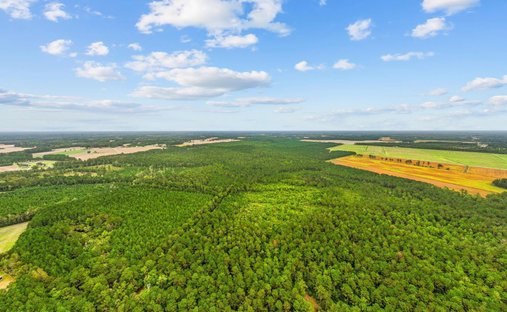 Terrain à Loris, Caroline du Sud, États-Unis 1