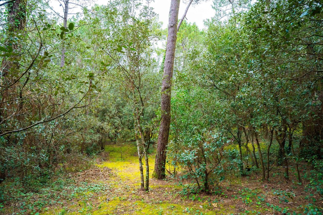 Land in Les Mathes, Nouvelle-Aquitaine, France 5 - 17570493