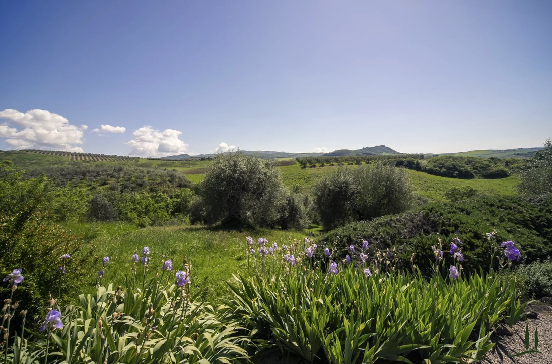 Villa in Castel del Piano, Tuscany, Italy 5 - 17568732