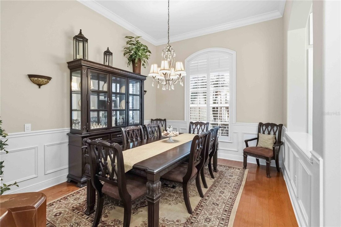 House in Lithia, Florida, United States 5 - 17560099