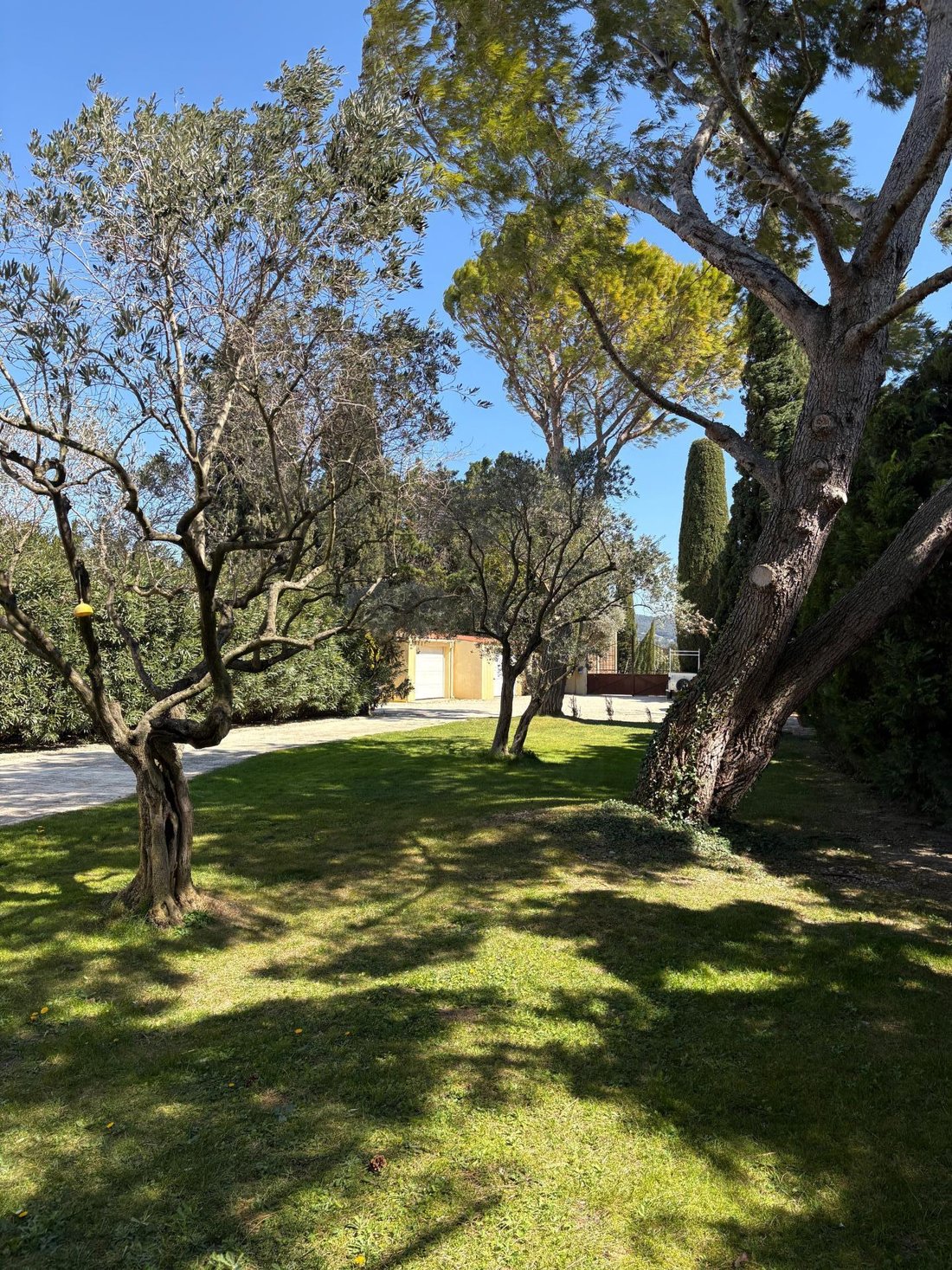 House in Vacqueyras, Provence-Alpes-Côte d'Azur, France 5 - 17559192