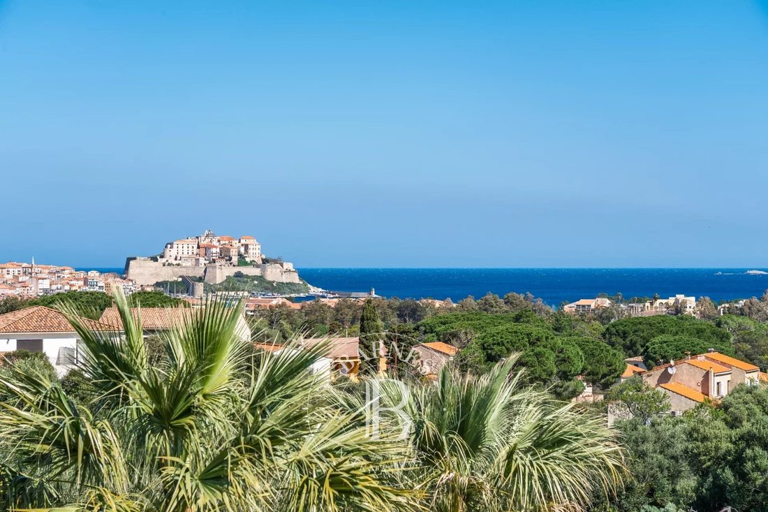 Villa in Secteur Périphérique, Calvi, France 1 - 17491934