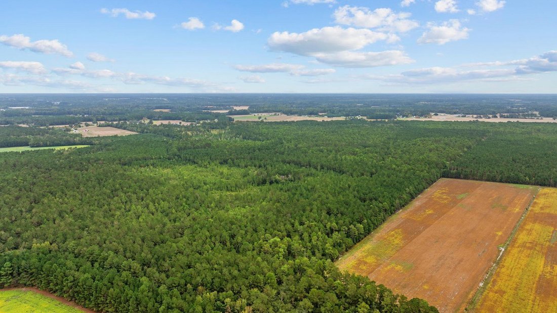 Land in Loris, South Carolina, United States 2 - 17560586