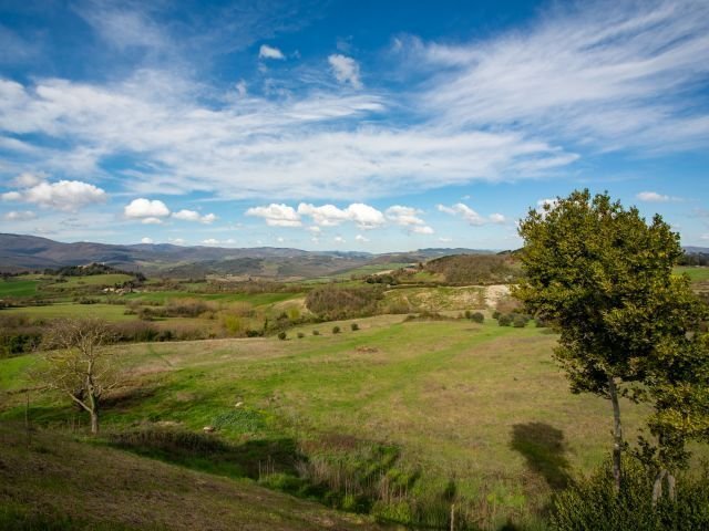 Villa in Radicondoli, Tuscany, Italy 4 - 17565621