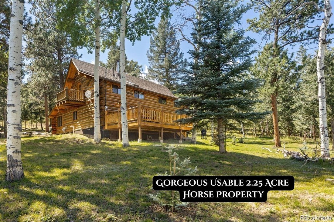 House in Bailey, Colorado, United States 2 - 16755770