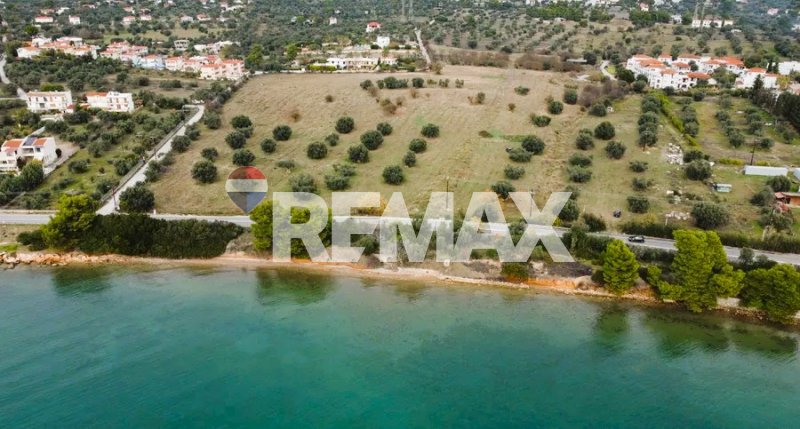 Land in Eretria, Thessaly and Central Greece, Greece 1 - 17558138