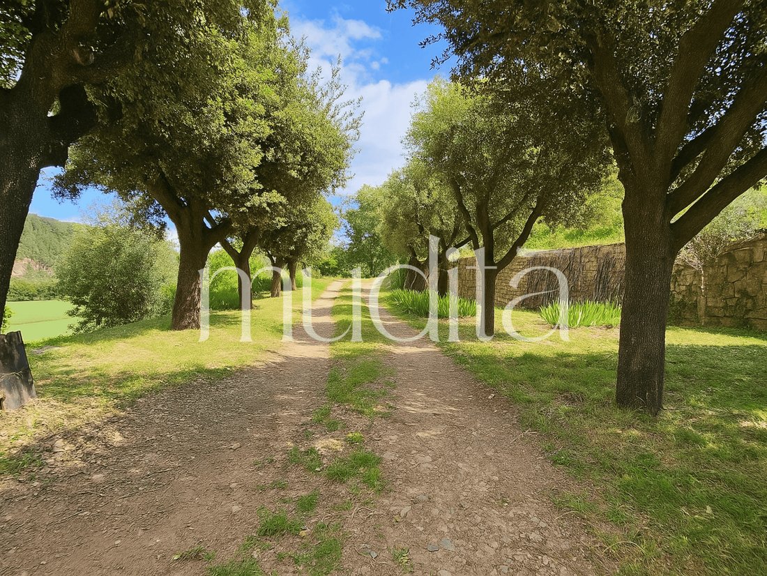 Estate in Avinyo, Catalonia, Spain 2 - 17563798