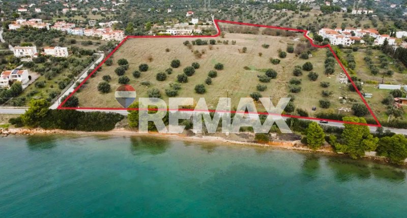 Land in Eretria, Thessaly and Central Greece, Greece 2 - 17558138
