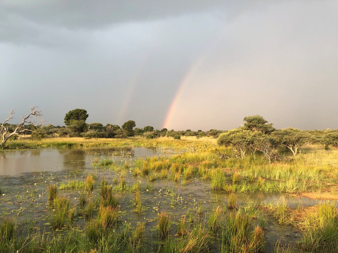 Farm Ranch in Vaalwater, Limpopo, South Africa 5 - 17568886