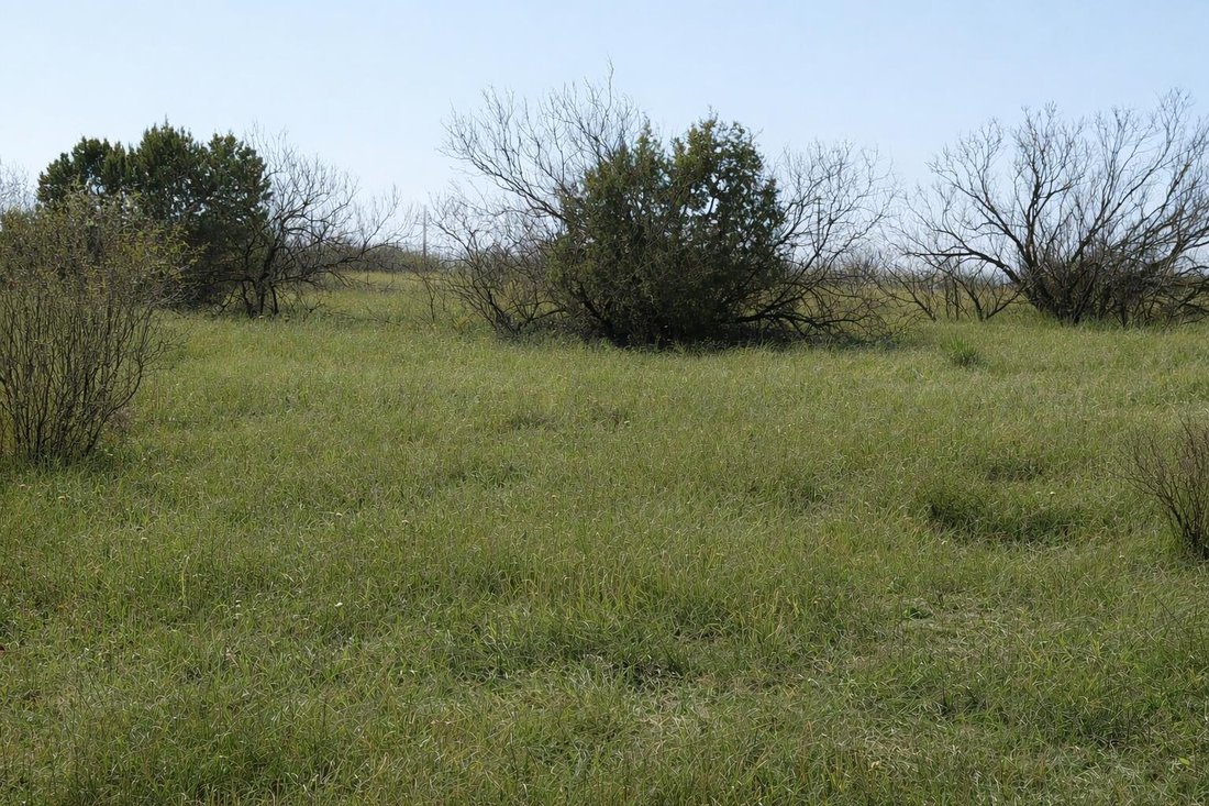 House in Canyon, Texas, United States 2 - 17569322